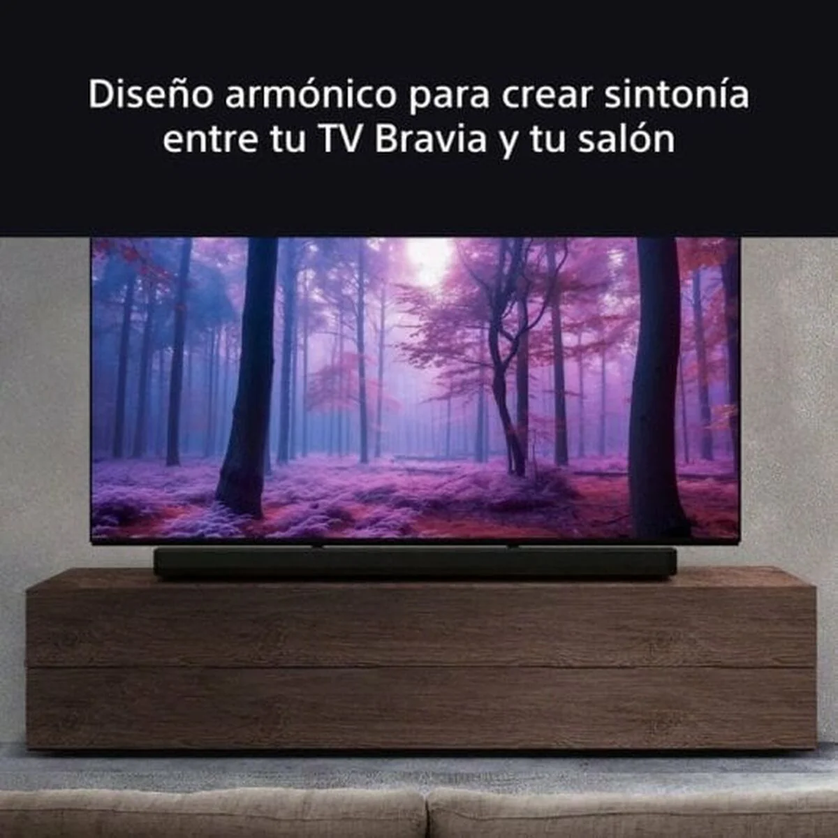 Barra de Sonido Sony BRAVIA Negro - Image 4