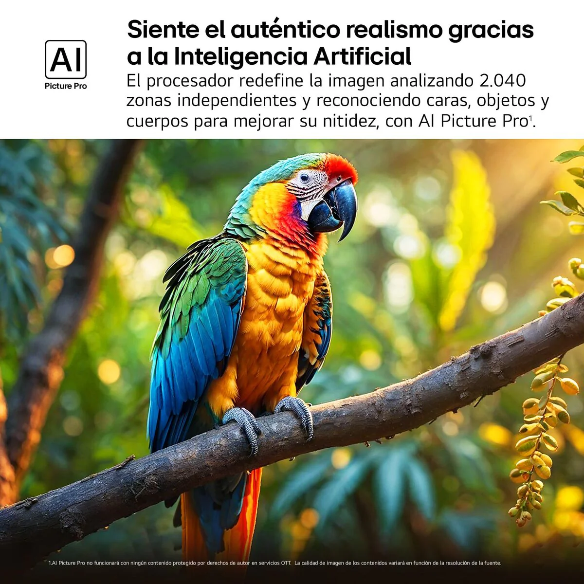 Smart TV LG 55QNED92A6A 4K Ultra HD 55" 75" LED (Reacondicionado A) - Image 7