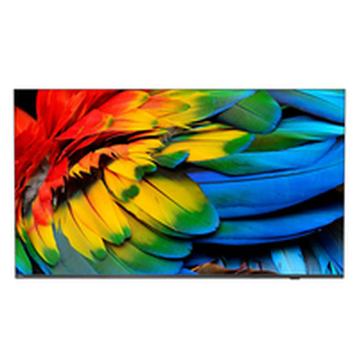 Smart TV Philips 43HFL6214U/12 4K Ultra HD 43" LED Hotel TV - Image 2
