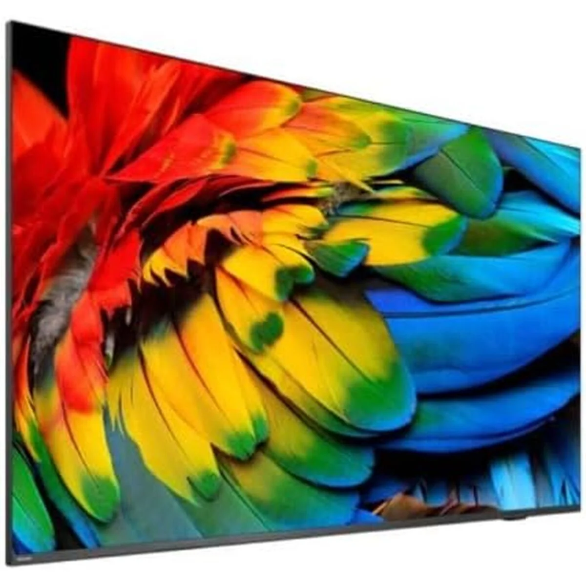 Smart TV Philips 50HFL6214U 4K Ultra HD 50" LED Hotel TV - Image 2
